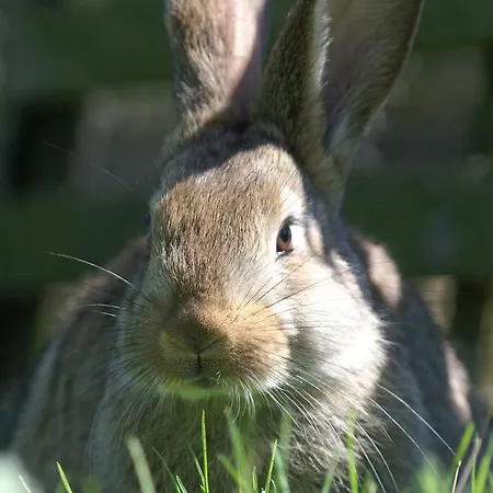 La Chevrerie Nocleg ze śniadaniem