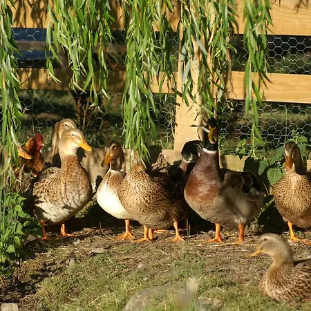 Nocleg ze śniadaniem La Chevrerie 3*