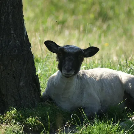 Nocleg ze śniadaniem La Chevrerie 3*