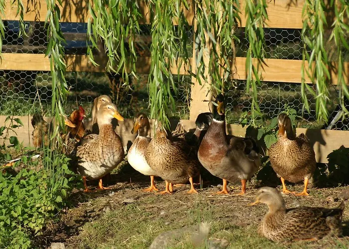 住宿加早餐酒店 La Chevrerie 3*