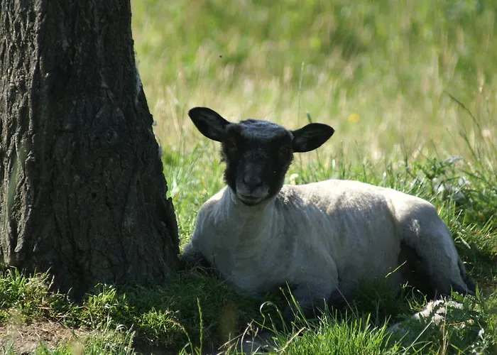 住宿加早餐酒店 La Chevrerie 3*