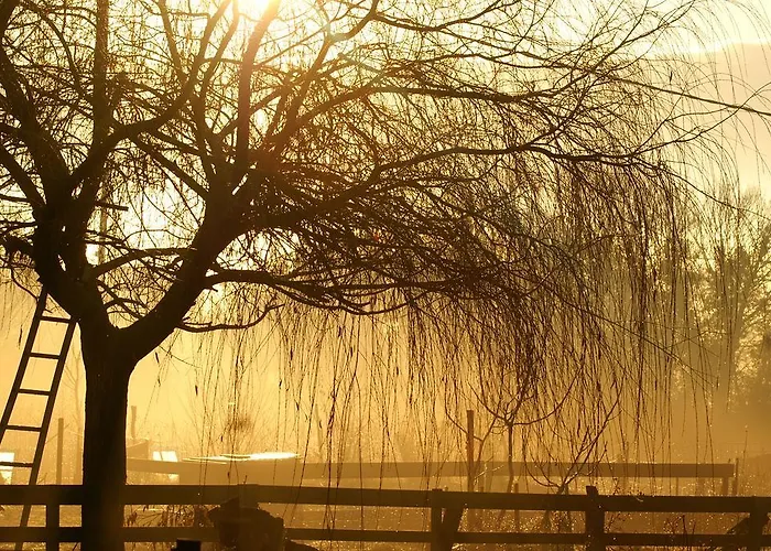 La Chevrerie 住宿加早餐酒店 3*